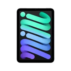 iPad mini WiFi Cell 256GB Gris