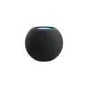 HomePod Mini Gris Apple en gros B2B 📦