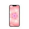 iPhone 17e 256GB Rose Suave Apple en gros B2B 📦