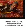 Studio Display XDR avec vidrio estándar et adaptateur de montaje VESA Apple en gros B2B 📦