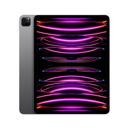 iPad Pro 12.9 Wifi 1TB Gris — prix de gros B2B