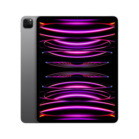 iPad Pro 12.9 Wifi 1TB Gris — prix de gros B2B