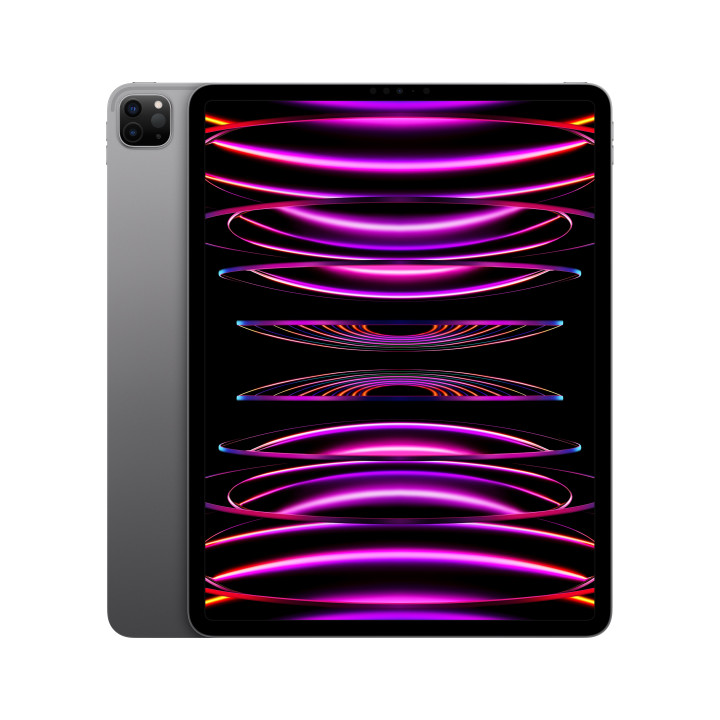 iPad Pro 12.9 Wifi 1TB Gris — prix de gros B2B