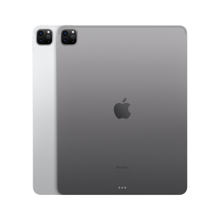 iPad Pro 12.9 Wifi 1TB Gris — prix de gros B2B