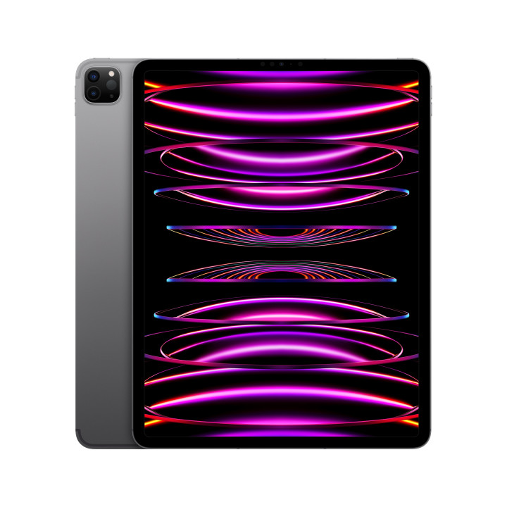 iPad Pro 12.9 Wifi Celular 512GB Gris — prix de gros B2B