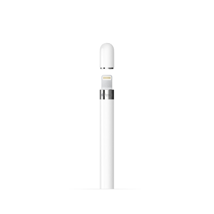 Stylet Blanc (1ª generación) Apple en gros B2B 📦