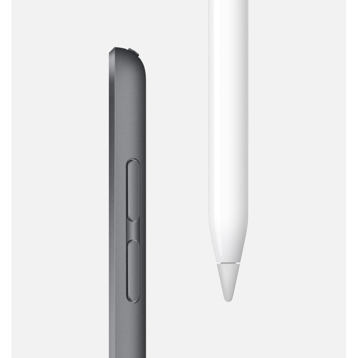 🤑 Soldes iPad Mini Wifi 256GB Gris 