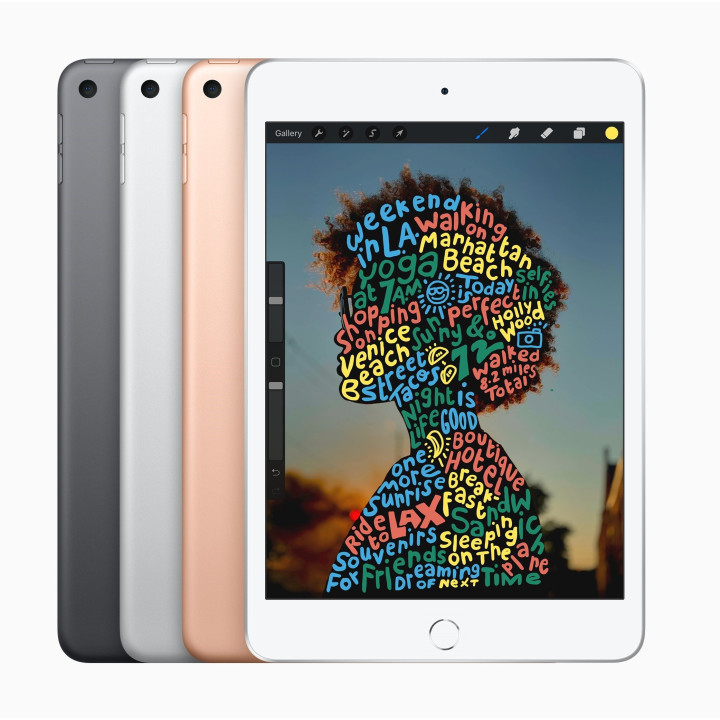 🤑 Soldes iPad Mini Wifi 256GB Gris 