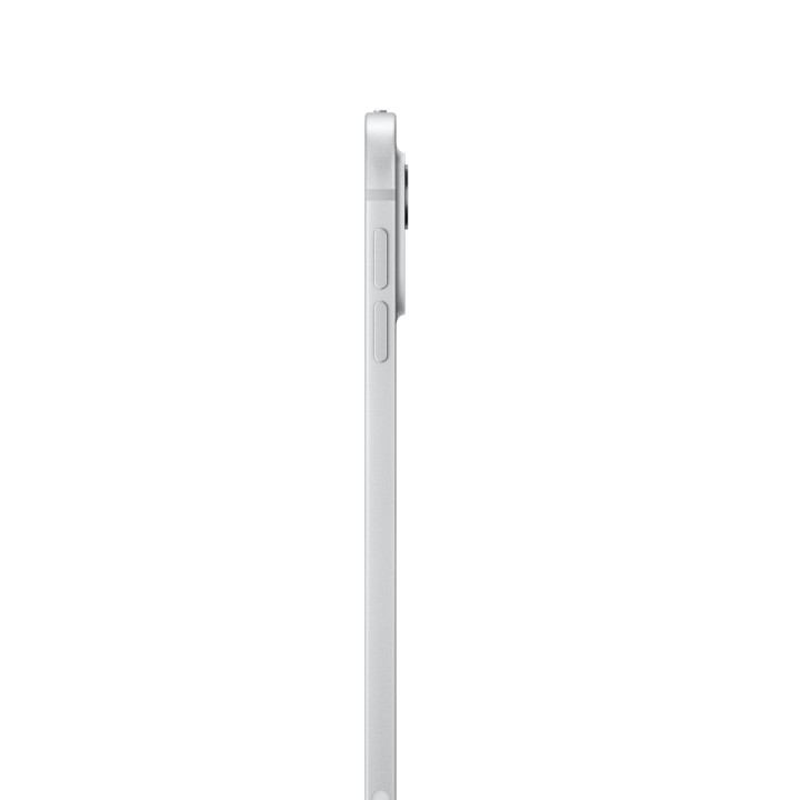 iPad Pro 11 M4 WiFi 512GB Argent — prix de gros B2B