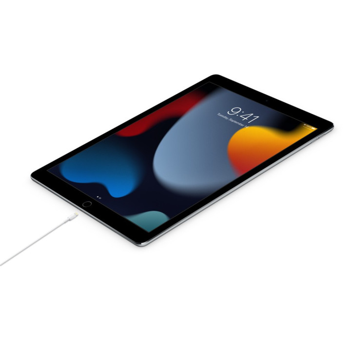 Câble USBC 1m — prix de gros B2B