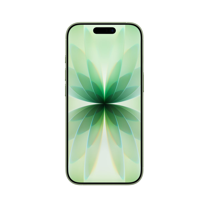 iPhone 17 512GB Vert salvia Apple en gros B2B 📦