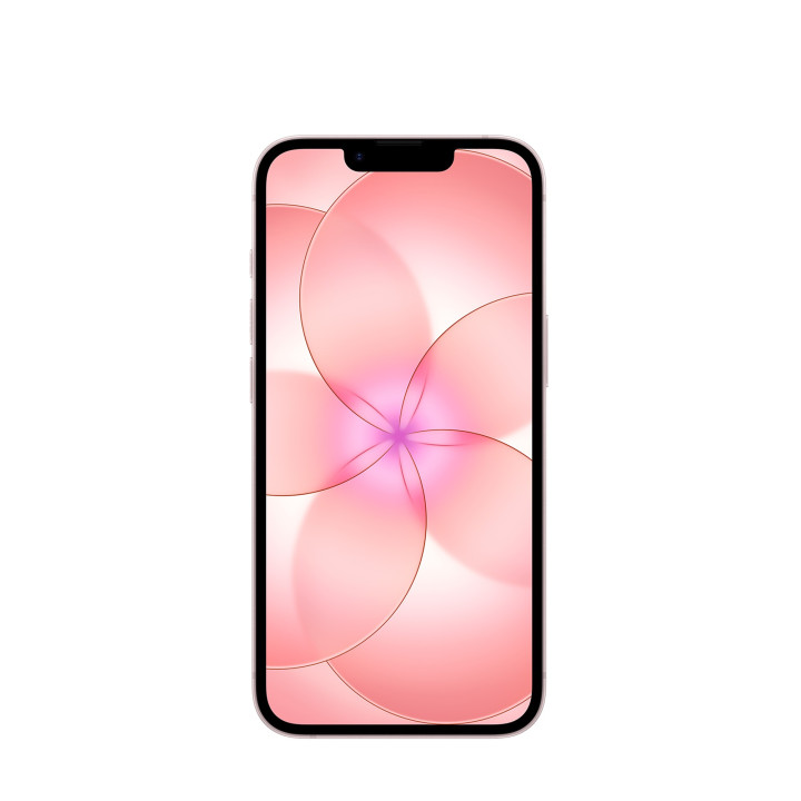 iPhone 17e 512GB Rose Suave Apple en gros B2B 📦