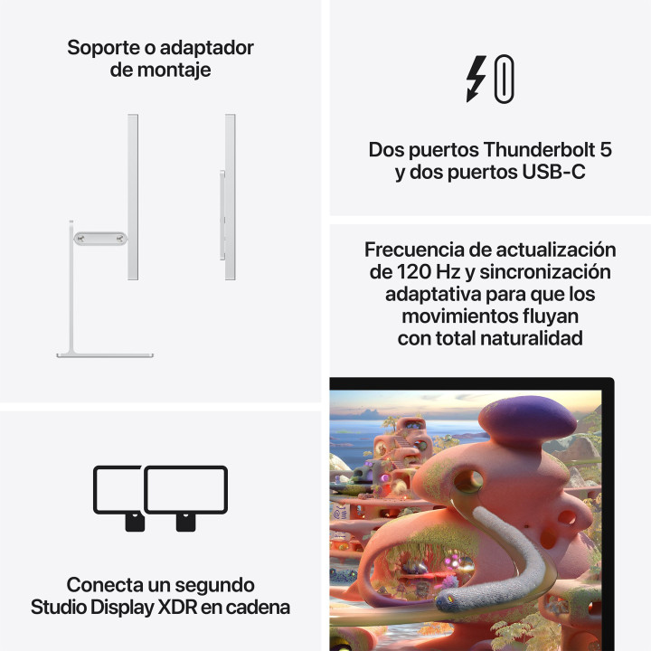 Studio Display XDR avec vidrio estándar et soporte ajustable en inclinación et altura Apple en gros B2B 📦
